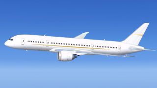 Screenshot 2 — Boeing 787-8 BBJ