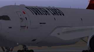 Screenshot 10 — Turkish Cargo Airbus A330-200F