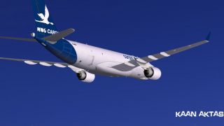 Screenshot 11 — MNG Cargo Airbus A330-200F
