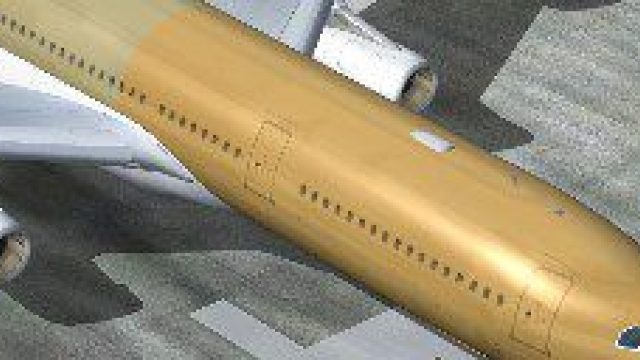 Screenshot 1 — CLS Airbus A340-300 Fabic Color