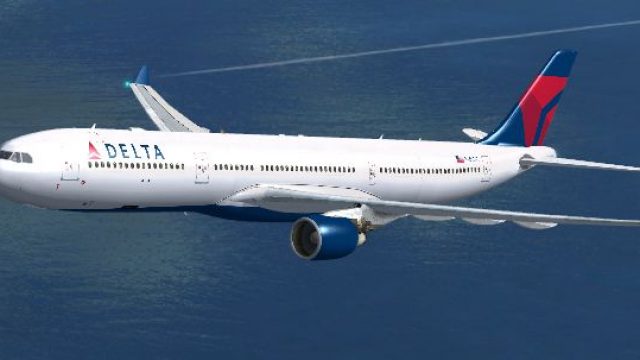 Screenshot 1 — Delta Airlines Airbus A330-300