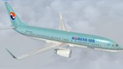 Screenshot 2 — Korean Air Boeing 737-800 KAL
