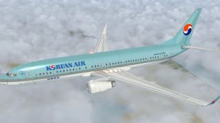 Screenshot 1 — Korean Air Boeing 737-800 KAL