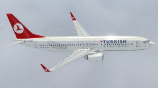 Screenshot 11 — Turkish Airlines Boeing 737-800