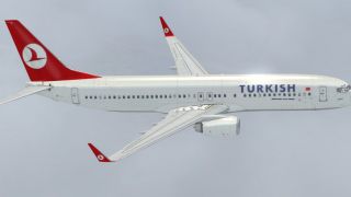 Screenshot 12 — Turkish Airlines Boeing 737-800