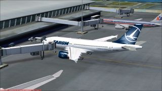 Screenshot 3 — Tarom Airbus A310-300