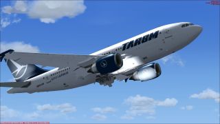 Screenshot 4 — Tarom Airbus A310-300