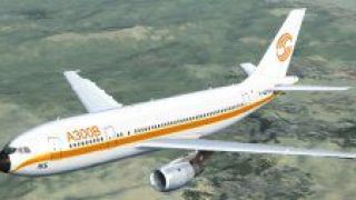 Screenshot 8 — Native Airbus A300B