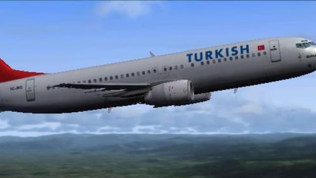 Screenshot 1 — Turkish Airlines Logo Fix