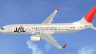 Screenshot 1 — Japan Airlines Boeing 737-800