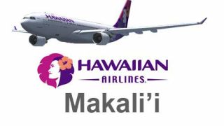 Screenshot 3 — Hawaiian Airlines Airbus A330-200 Fleet