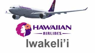 Screenshot 2 — Hawaiian Airlines Airbus A330-200 Fleet