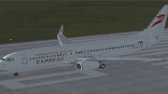 Screenshot 9 — Hong Kong Airlines/Express Texture Set