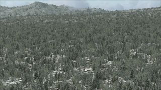 Screenshot 3 — USA & Europe Replacement Ground Textures