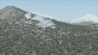 Screenshot 7 — USA &amp; Europe Replacement Ground Textures