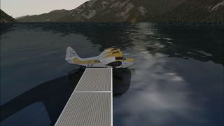 Screenshot 7 — Birds Volume 7: The Gold Valley