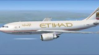 Screenshot 3 — Etihad Crystal Cargo Airbus A310-304F