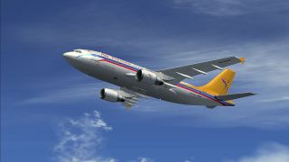 Screenshot 3 — Air Paradise Airbus A310-300