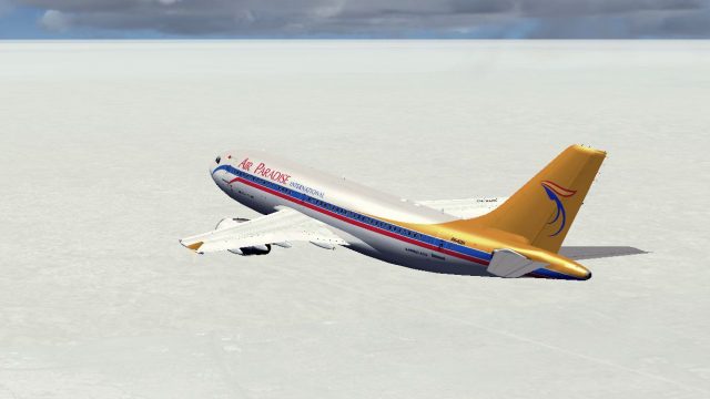 Screenshot 1 — Air Paradise Airbus A310-300