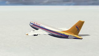 Screenshot 1 — Air Paradise Airbus A310-300