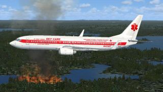 Screenshot 5 — Default Boeing 737-800 Repaint 11-Pack