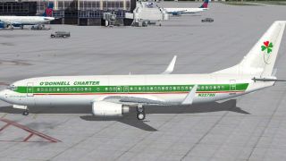Screenshot 3 — Default Boeing 737-800 Repaint 11-Pack