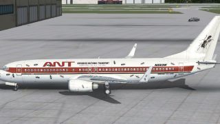 Screenshot 10 — Default Boeing 737-800 Repaint 11-Pack