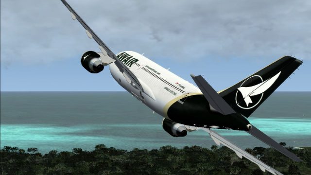 Screenshot 1 — Airwagon International Airbus A310-300