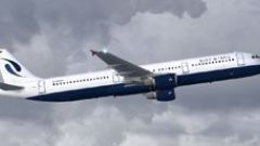 Screenshot 4 — Blue Wings Airbus A321-211