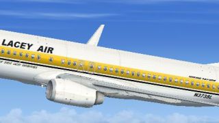 Screenshot 1 — Steve Lacey Boeing 737-800