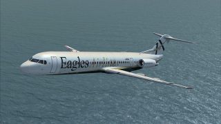 Screenshot 5 — Digital Aviation Fokker 100 Mega Repaint Pack