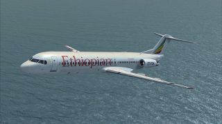 Screenshot 9 — Digital Aviation Fokker 100 Mega Repaint Pack