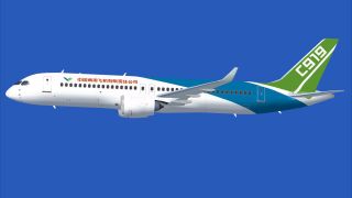 Screenshot 2 — Comac House Colors C919