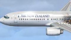Screenshot 1 — Air New Zealand Rugby 2011 Boeing 737-800