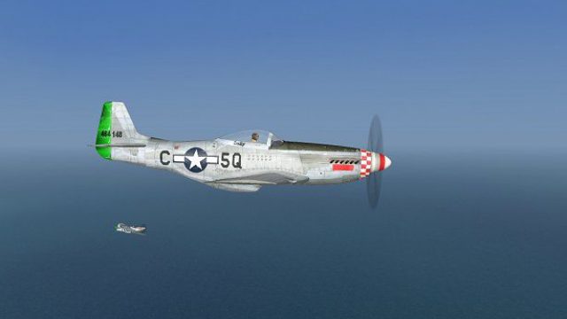 Screenshot 1 — P-51D 339th FG