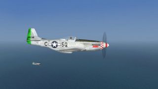 Screenshot 1 — P-51D 339th FG