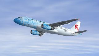 Screenshot 12 — Shenzhen Airlines Airbus A320