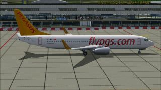 Screenshot 2 — Pegasus Airlines Boeing 737-800