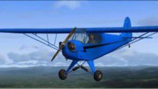 Screenshot 3 — Taylor J-2 Cub Texture Add-On