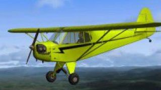 Screenshot 5 — Taylor J-2 Cub 37HP