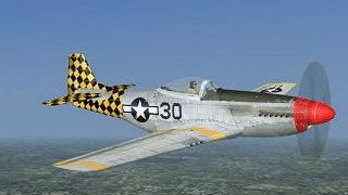 Screenshot 1 — P-51D from the 325th FG