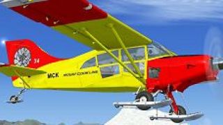 Screenshot 2 — Mount Coook Airlines Maule 260C