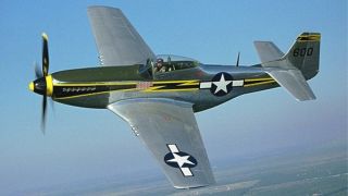 Screenshot 2 — P-51d 118th TRS