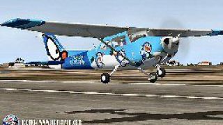 Screenshot 31 — Cessna 172SP Skyhawk