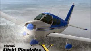 Screenshot 25 — Piper PA28-180 Cherokee