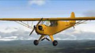 Screenshot 5 — Piper J-3 Cub Fix