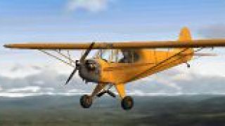 Screenshot 4 — Piper J-3 Cub Fix