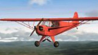 Screenshot 1 — Piper J-3 Cub Fix