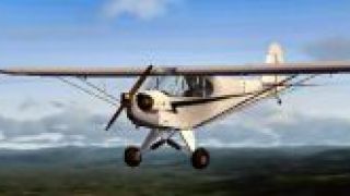 Screenshot 15 — Piper J-3 Cub Fix