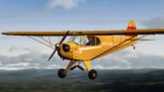 Screenshot 9 — Piper J-3 Cub Fix